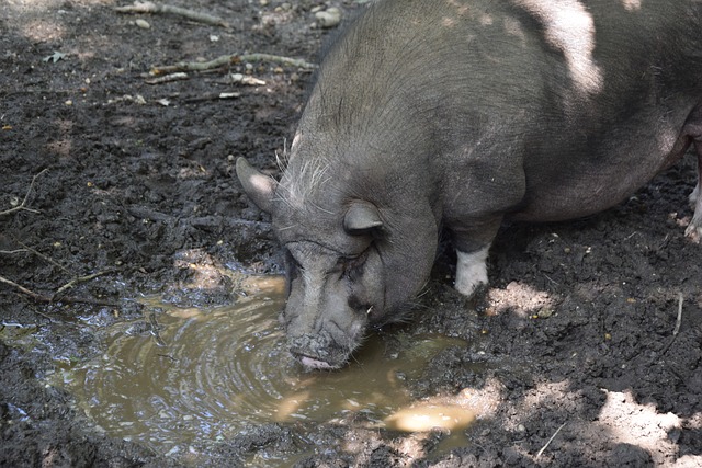 够在逆境中 够在逆境中