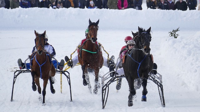 国际赛事中 国际赛事中