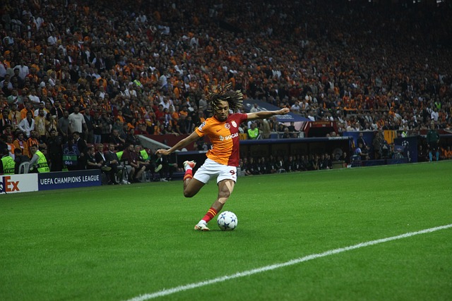 支撑高薪的 支撑高薪的